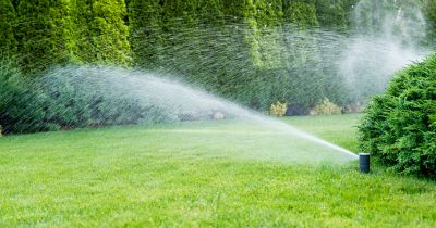 Sprinkler Blowout Service